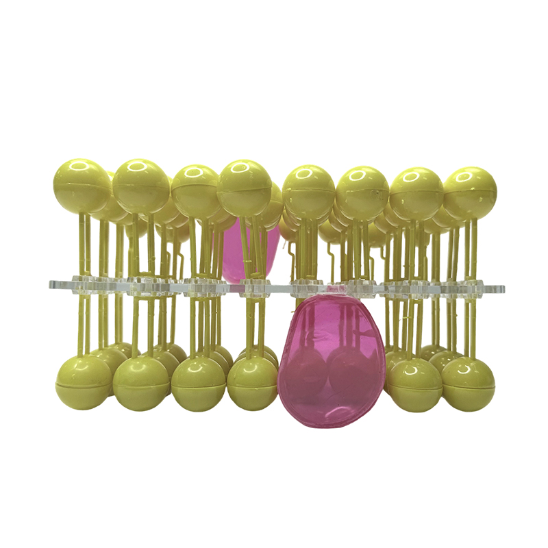 Structura membranei celulare anatomie model flux mozaic componentă predare biologică demonstrație știință echipament