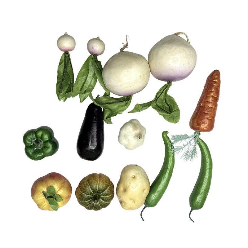 Echipamente educaționale simulare predare ornamente vegetale