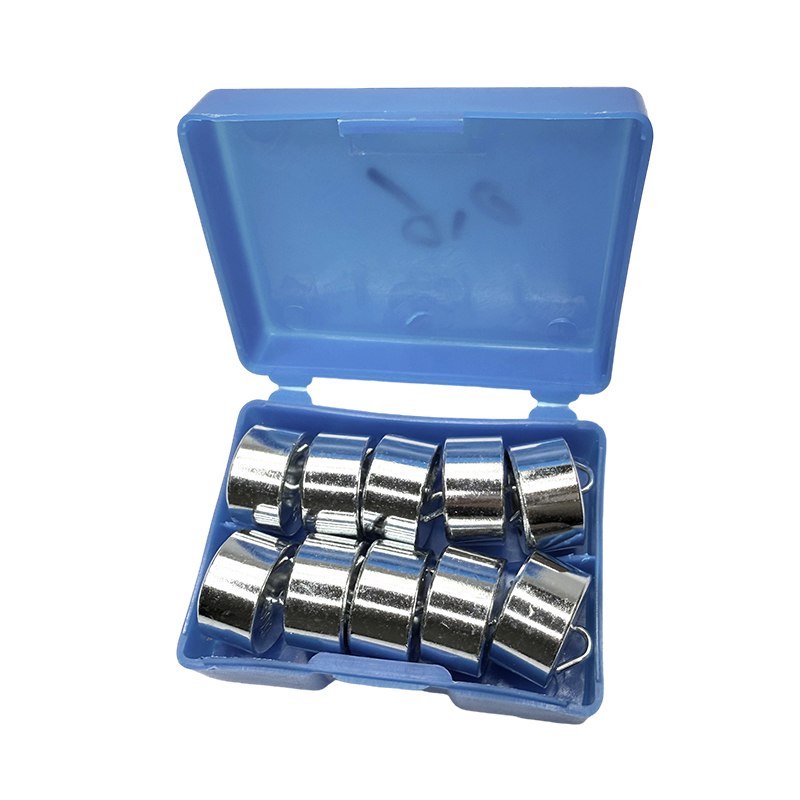 Set de greutăți cu cârlig educațional 50 gx10 buc/instrument de laborator de fizică școlară, experiment științific și kit de predare