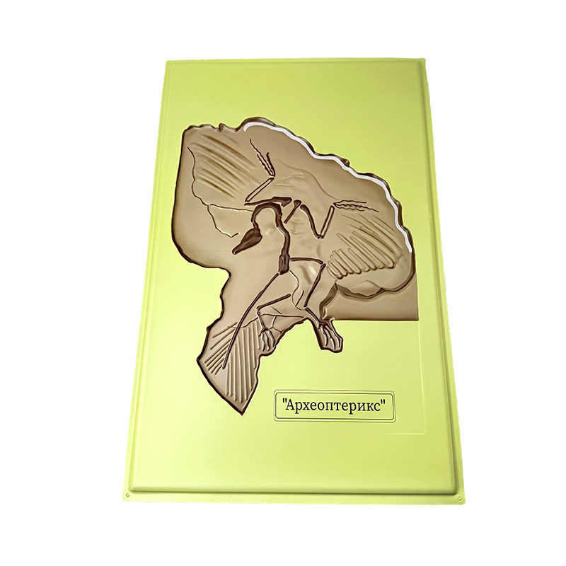 Model în relief de arheopteryx